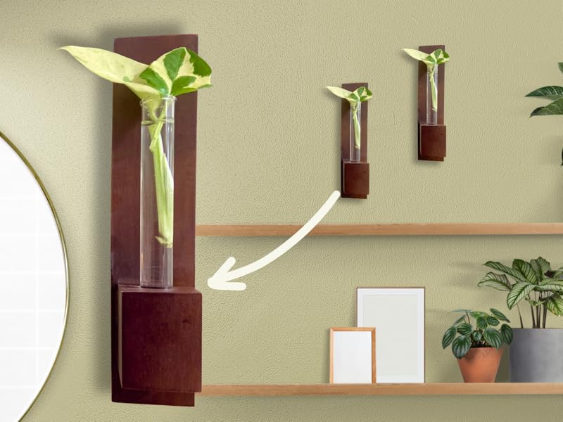 Test Tube Wall Planter with Wooden Holder