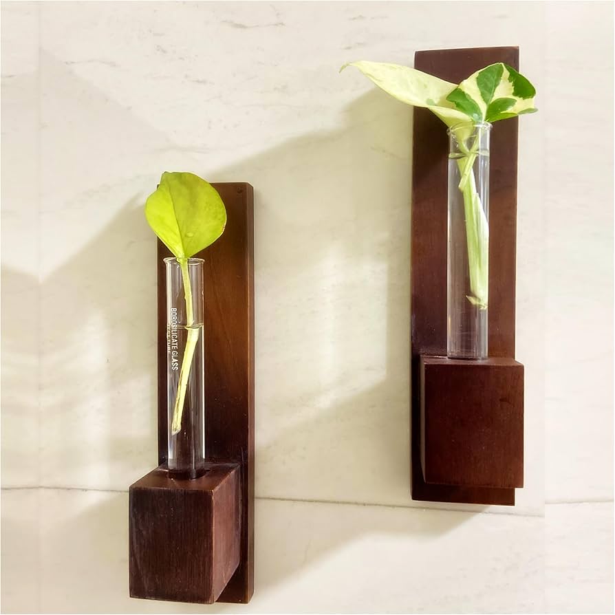 Test Tube Wall Planter with Wooden Holder